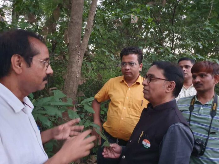 911cc-img-20231017-wa0029